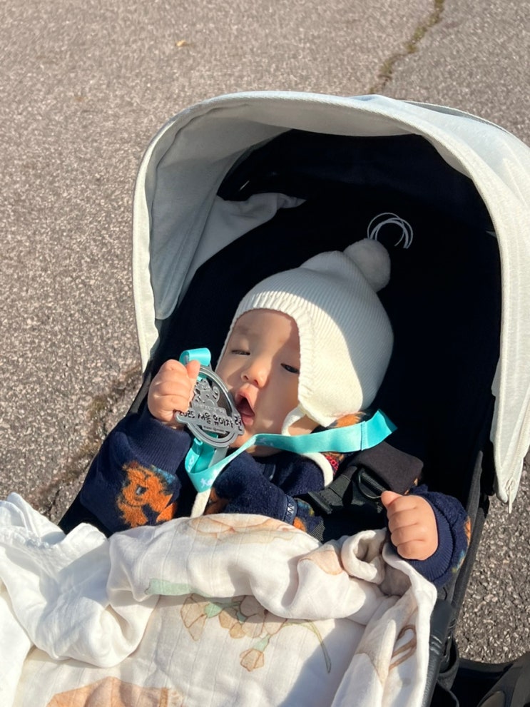 육아일기 28화 : 8개월 아기랑 2025 서울 유아차 런 7km 완주 후기(+거북이반)