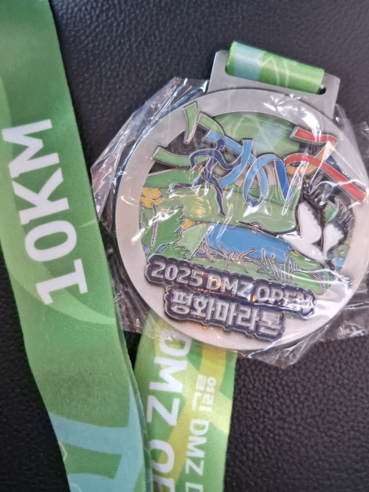 임진각 평화누리에서 진행된 2025 DMZ OPEN 평화마라톤 행사장 구경 다녀온 후기