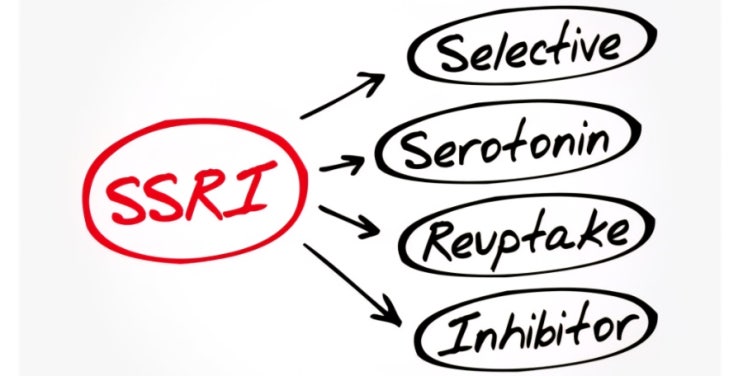 불안 장애 치료제 ⧫선택적 세로토닌 재흡수 억제제(SSRI)⧫ : 네이버 블로그