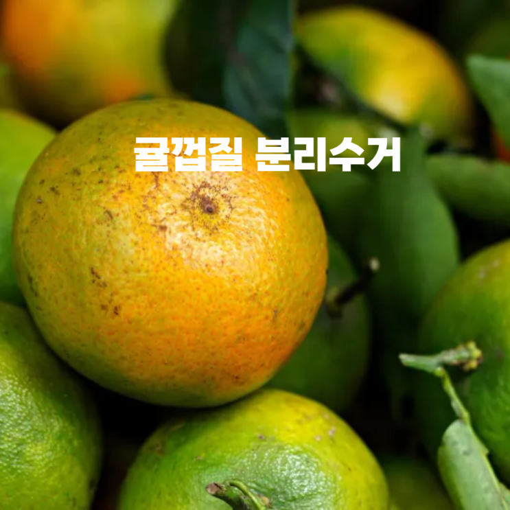 귤껍질 분리수거 음식물, 일반쓰레기 어떻게 버려야 하나? : 네이버 블로그