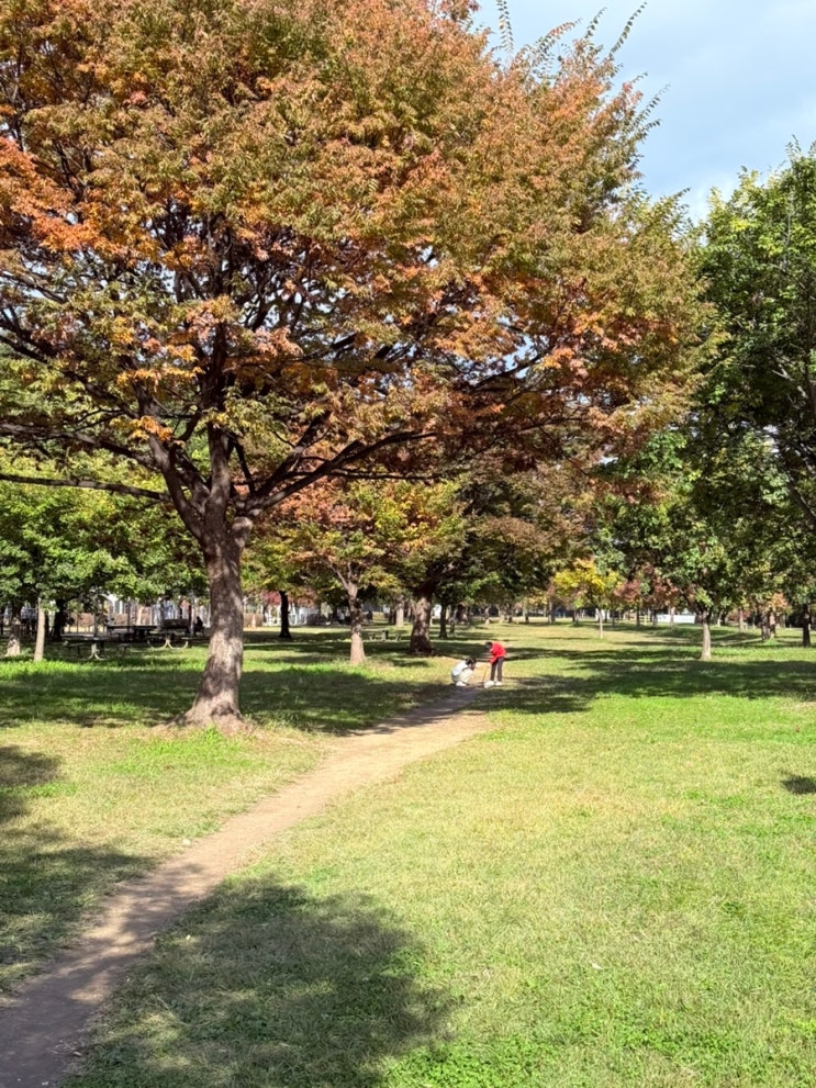 수능 시험 10일 전 : 네이버 블로그