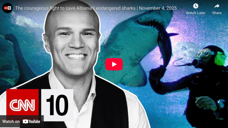 251104TUE_The courageous fight to save Albania's endangered sharks ...
