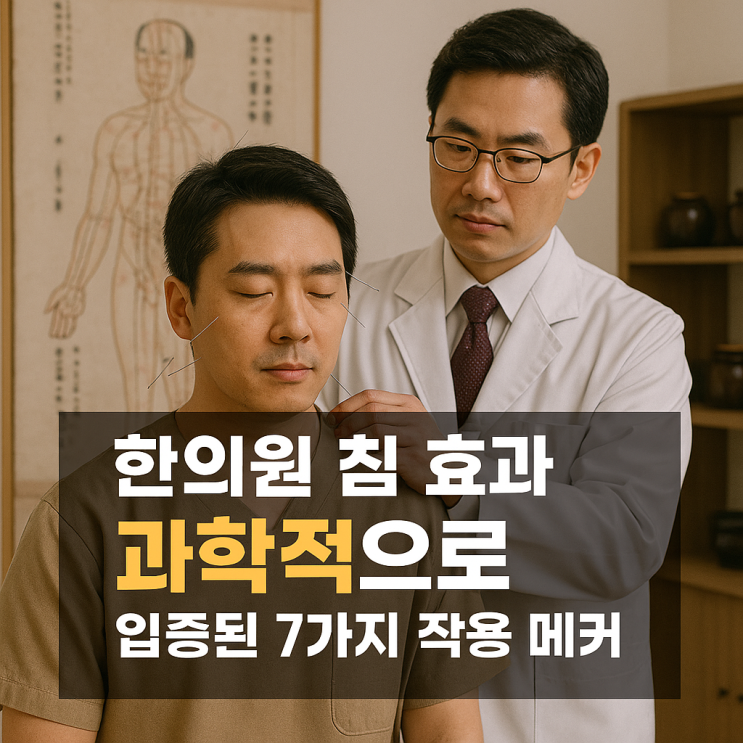 한의원 침 효과, 과학적으로 입증된 7가지 작용 메커니즘 : 네이버 블로그