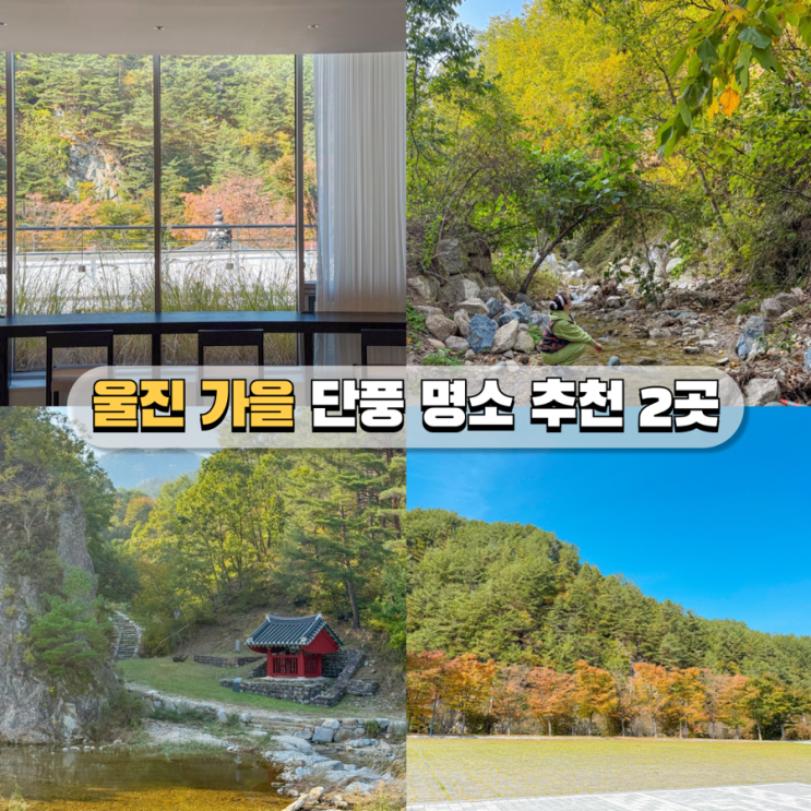 가을 울진여행 단풍명소 추천 십이령옛길 & 금강송에코리움 : 네이버 블로그
