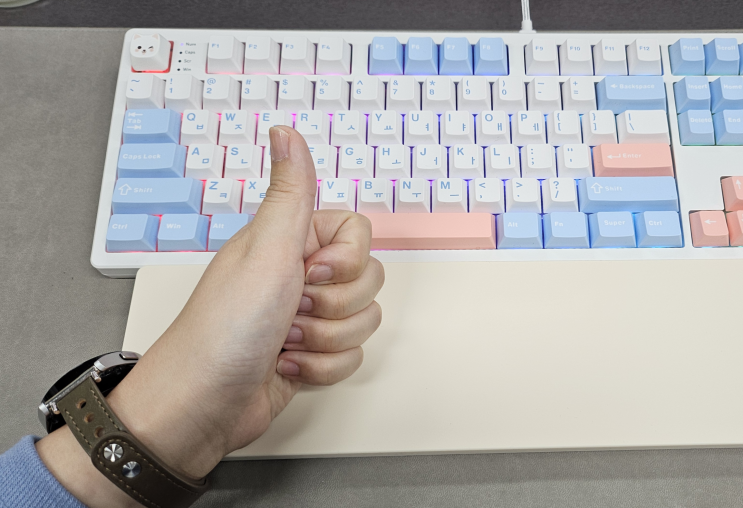 콕스 기계식 저소음 키보드 사무용 추천 COX CS108 벚꽃축 키덕투어 팝업 수원 : 네이버 블로그