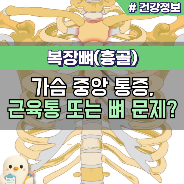 복장뼈 흉골 Sternum 위치 통증 원인 골절 구분법 : 네이버 블로그