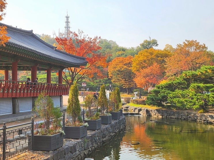 서울 단풍구경 가볼만한곳 남산골 한옥마을 주차장 입장료 체험 실시간현황 : 네이버 블로그