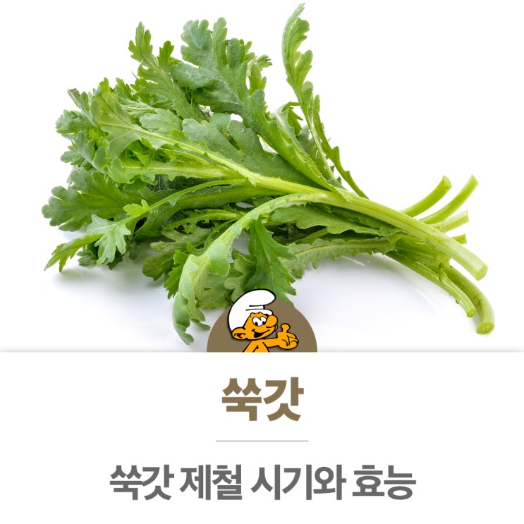 쑥갓 제철시기와 효능 총정리 가을철 건강 지키는 최고의 식재료 : 네이버 블로그