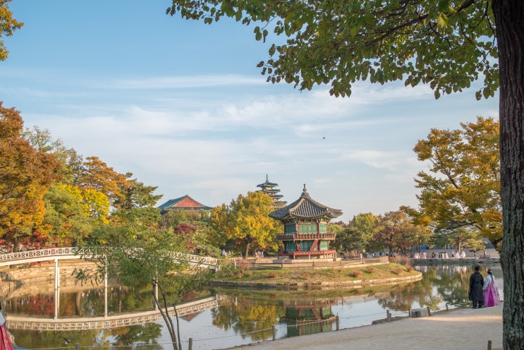 단풍이 알맞게 든 경복궁 단풍 11월 5일 촬영 : 네이버 블로그