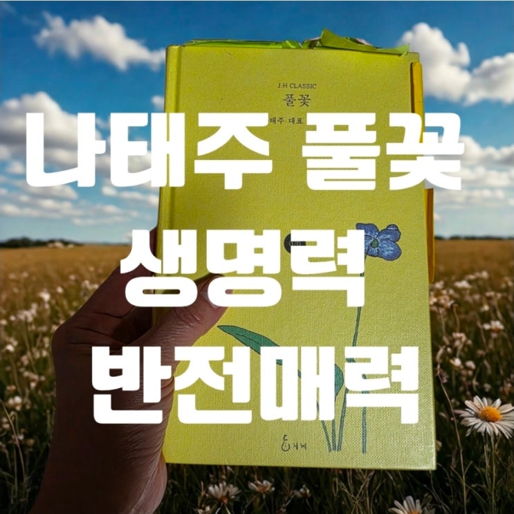 나태주 풀꽃 해석 생명력 반전 살펴보기 : 네이버 블로그