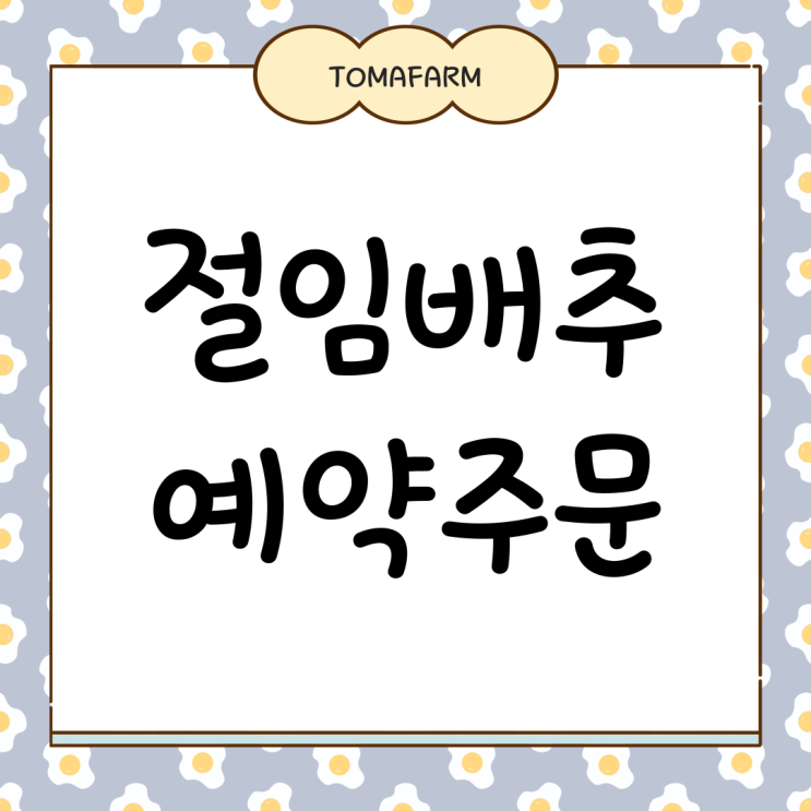 절임배추 예약주문 가격 주문기간 택배 꿀팁 한눈에 : 네이버 블로그