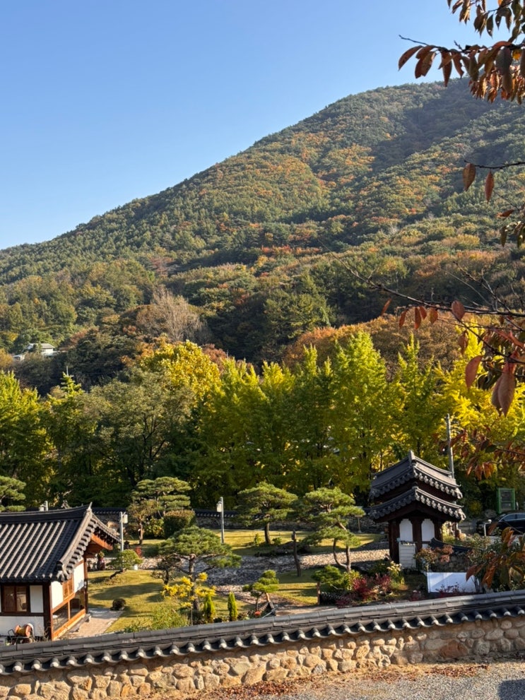 [울산 가족숙소추천] 가을 단풍여행 아기랑 머물기 좋은 한옥스테이, 조용하고 따뜻한 하루 다담한옥 : 네이버 블로그