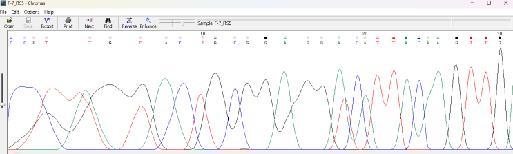 분자생물학(14) - 곰팡이의 Bioinformatics : 네이버 블로그