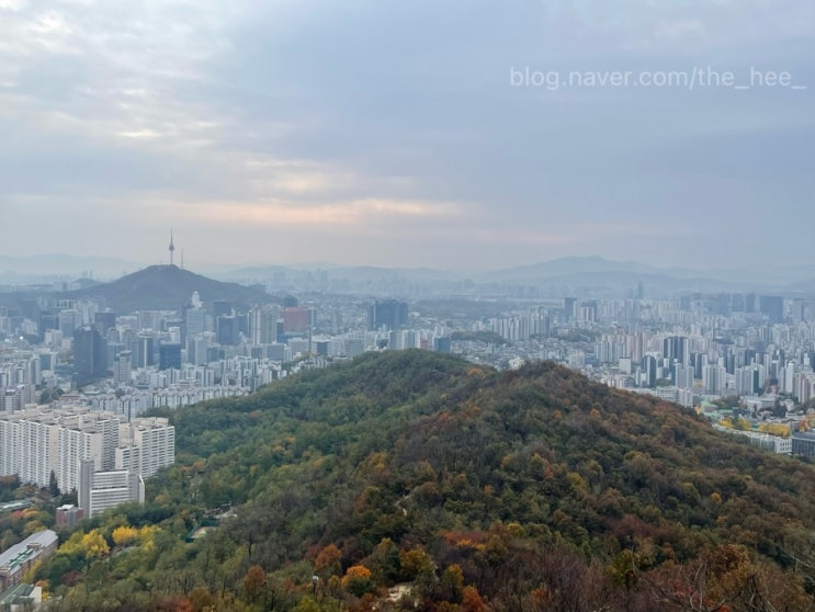 서대문 안산 자락길 단풍길 후기🍂 11월 단풍 절정 시기 기록 : 네이버 블로그