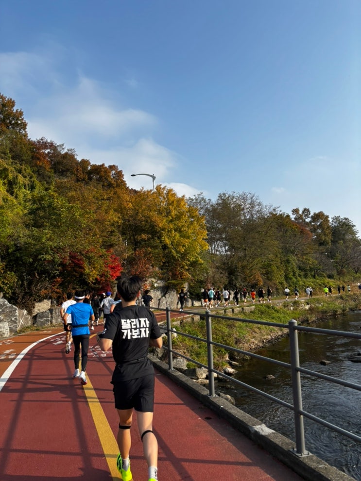 2025 과천마라톤 10km 완주 후기