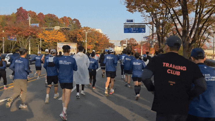 런린이의 2025 블루런 마라톤 참가 후기｜대회 정보