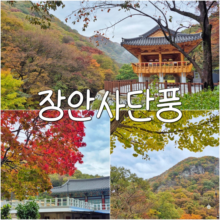 기장 장안사 단풍 명소 부산 사람도 잘 모르는 숨은 가을 명소 : 네이버 블로그