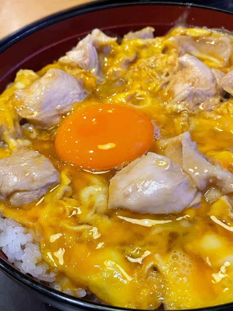 나고야 오야코동 맛집 토리카이소혼케 사카에 라시크점