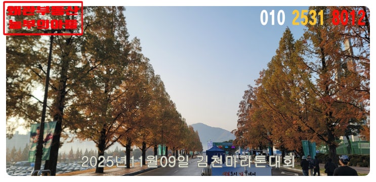 🏃‍♂️ 2025 김천전국마라톤대회 참가 후기