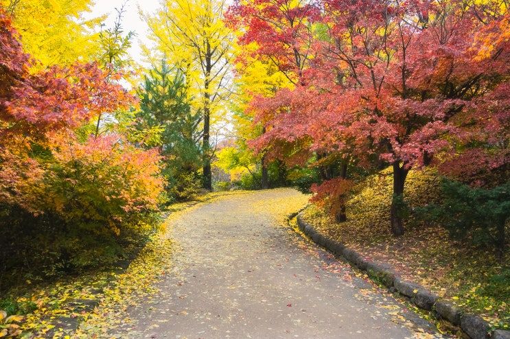 길을 걷다보면.. : 네이버 블로그