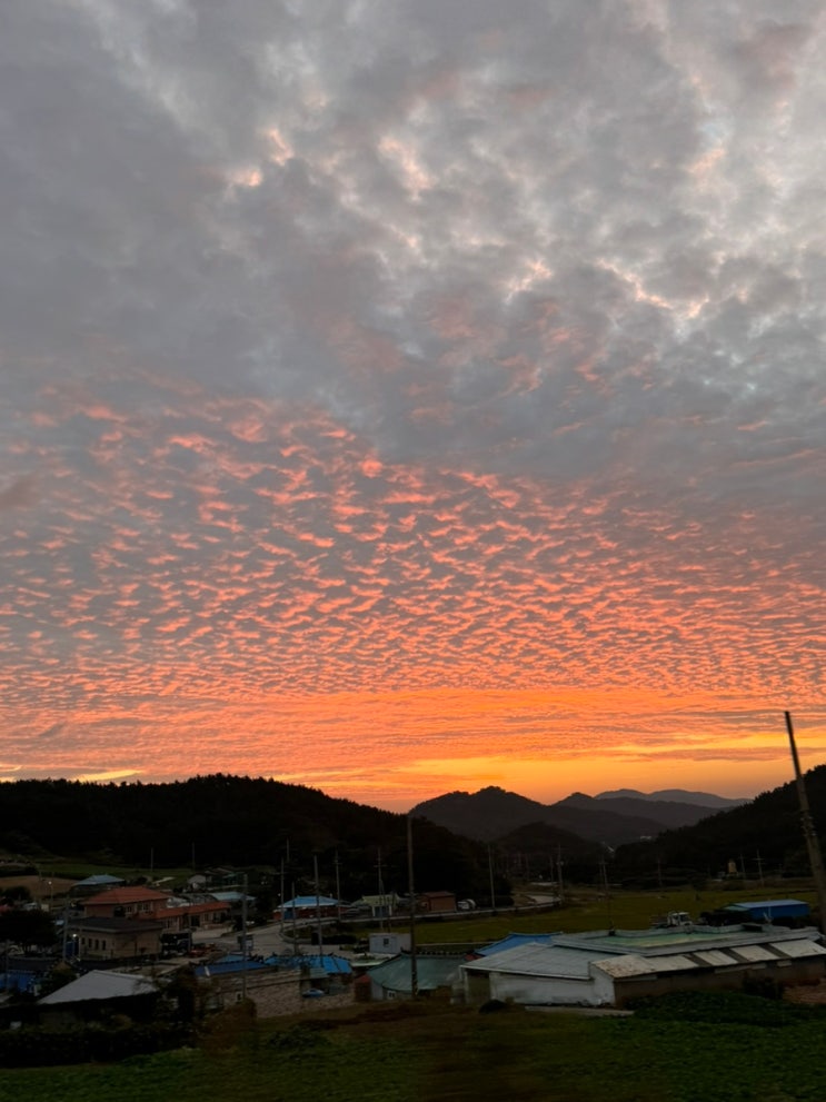 2025 해남땅끝 마라톤대회 10km 후기 !!!!(별로였습니다.)