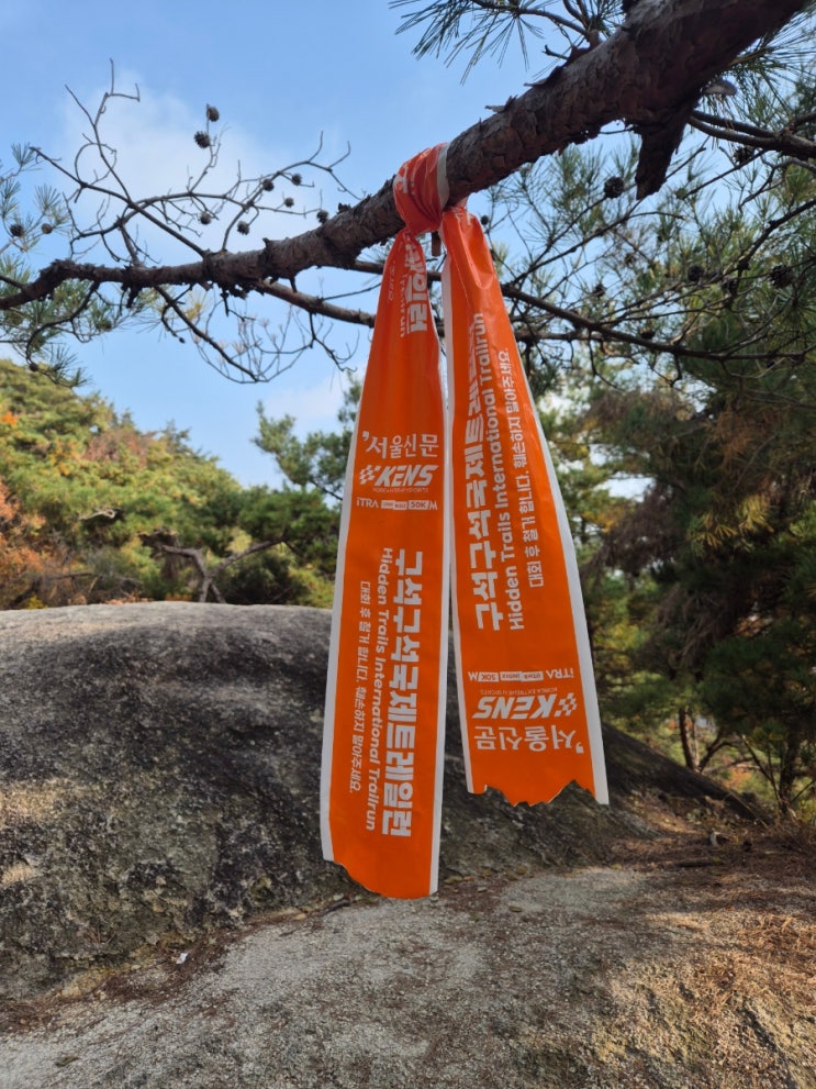 2025 서울 구석구석 국제 트레일런 대회 당일 후기 (Feat 인왕산 실시간 단풍 뷰) [25.11.09]