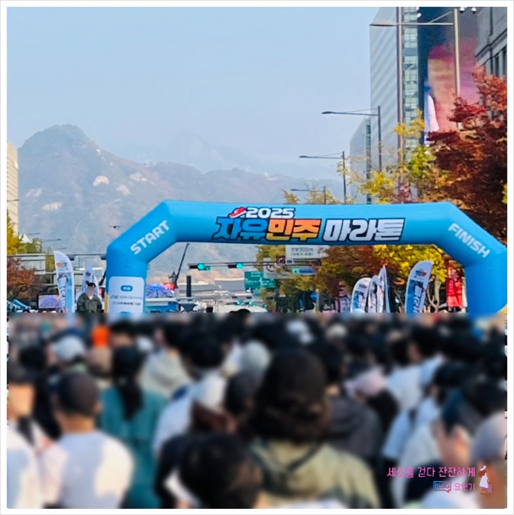2025자유민주마라톤대회 광화문과 청계천의 가을을 달리다