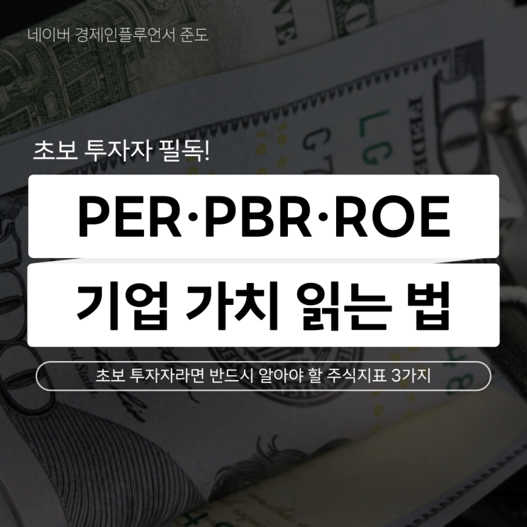 PER PBR ROE 뜻 주식 초보 용어 사전 주린이 공부하는법 총정리! : 네이버 블로그