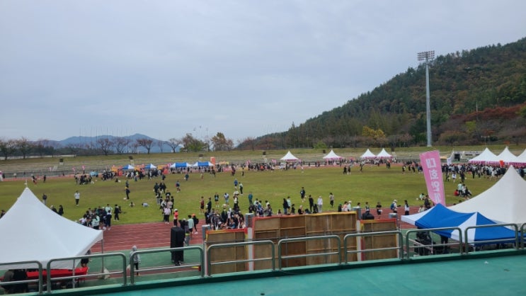 2025 해남 땅끝 전국 마라톤대회 하프 기록 후기