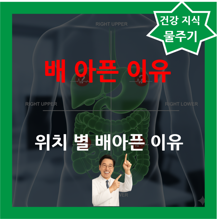위치 별 배아픈 이유 왼쪽 아래배 통증 오른쪽 윗배 아플때 : 네이버 블로그