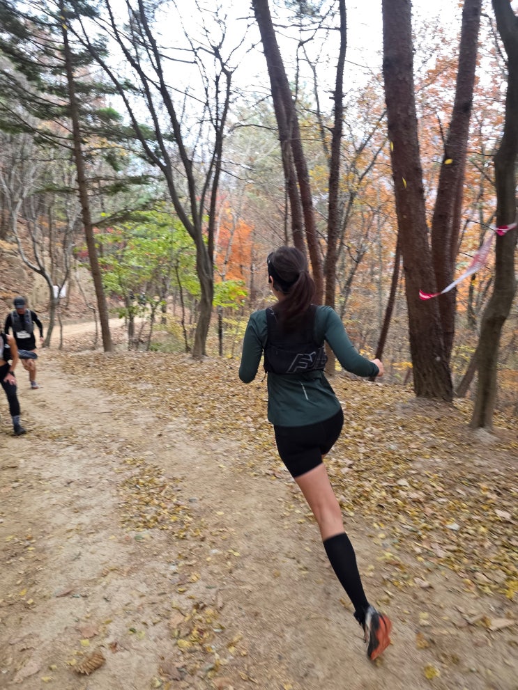 2025 문경 레전드 트레일 백두대간, 가을의 문경새재 그리고 주흘산 트레일러닝