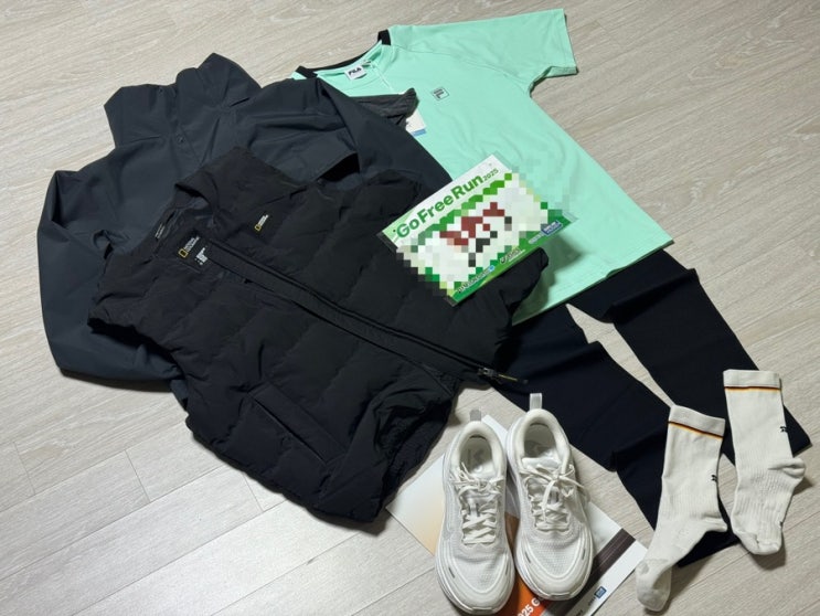 러닝 이야기｜서울신문 2025 GO FREE RUN 10K 직접 달려본 후기