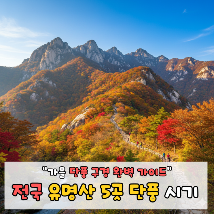 올가을 단풍 여행 어디로? 지역별 단풍 산 추천 5곳 (절정 시기, 입장료, 주차 정보) : 네이버 블로그