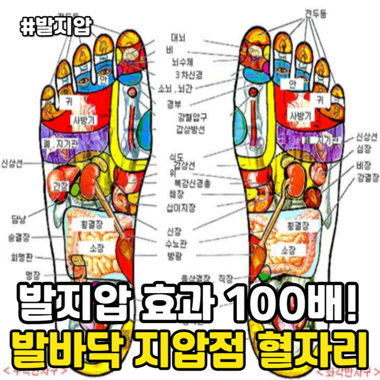 발지압 효과 100배! 발바닥 지압점 혈자리, 지압기 매트 사용법 순서 총정리 : 네이버 블로그