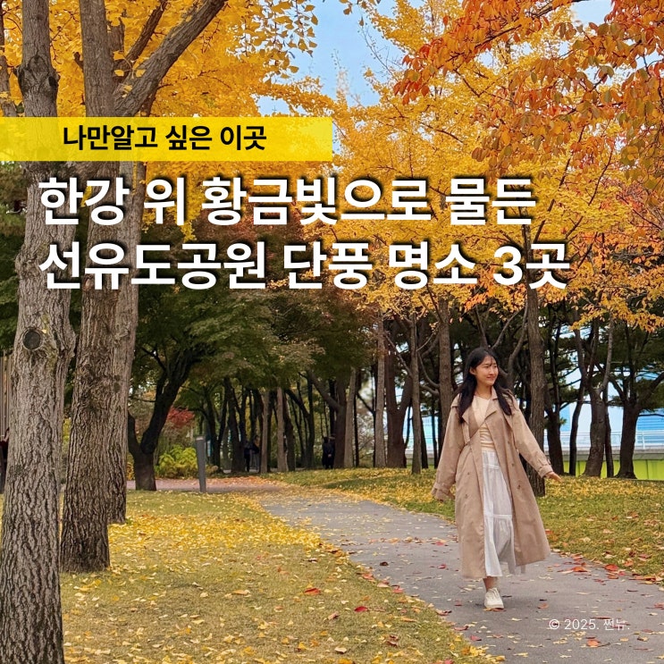 주말에도 사람 없는 '서울 단풍명소 선유도 한강공원' 야경까지 예쁠 줄이야 : 네이버 블로그