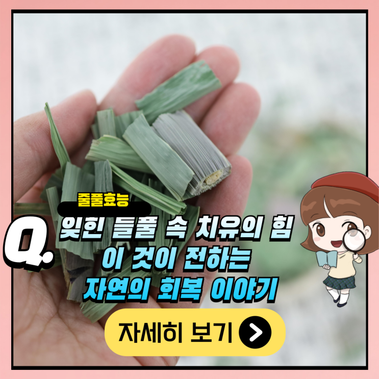줄풀효능 비단풀의효능 잊힌 들풀 속 치유의 힘 : 네이버 블로그