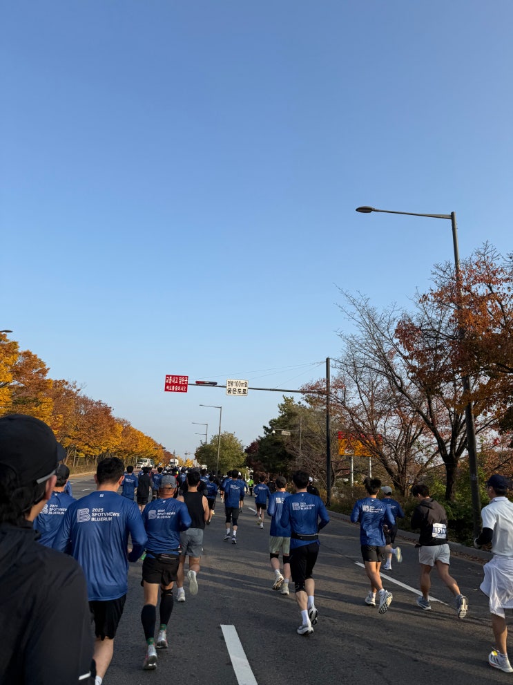 2025 11월 블루런 2회 마라톤 10k 후기 (with 정관장, 스포티비)