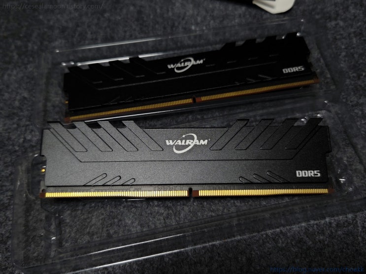알리발 WALRAM DDR5 8GB RAM 리뷰 : 네이버 블로그