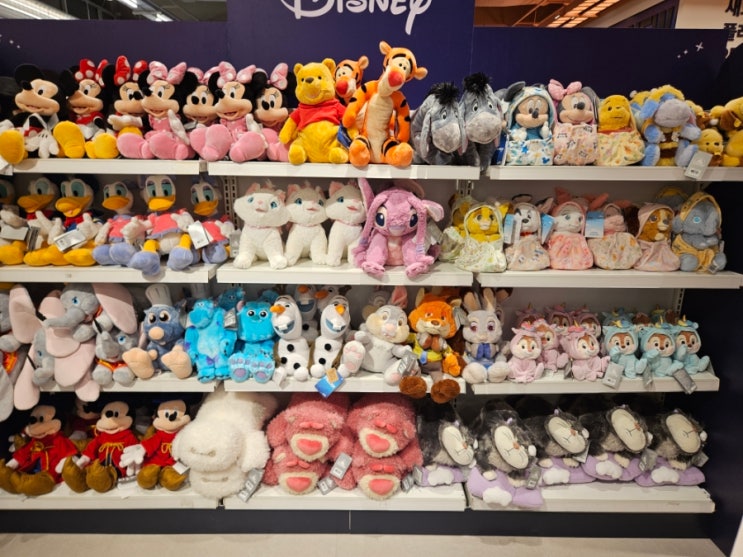 청주_ 디즈니스토어 팝업스토어(2025.11) : 네이버 블로그