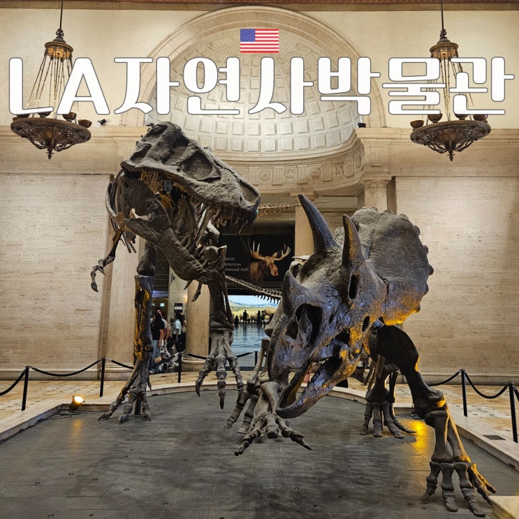 공룡 러버의 LA 자연사박물관 방문 후기 및 입장료 주차 기념품