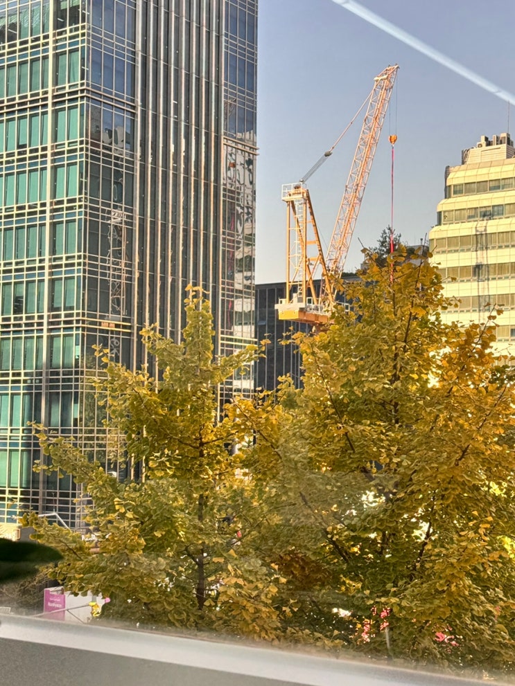 a busy last fall : 네이버 블로그