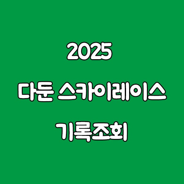 2025 다둔 스카이레이스 기록조회, 이 링크 하나로 정리 끝
