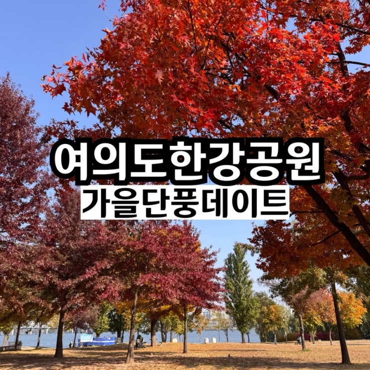 여의도한강공원에서 즐기고 온 가을 단풍 데이트 : 네이버 블로그