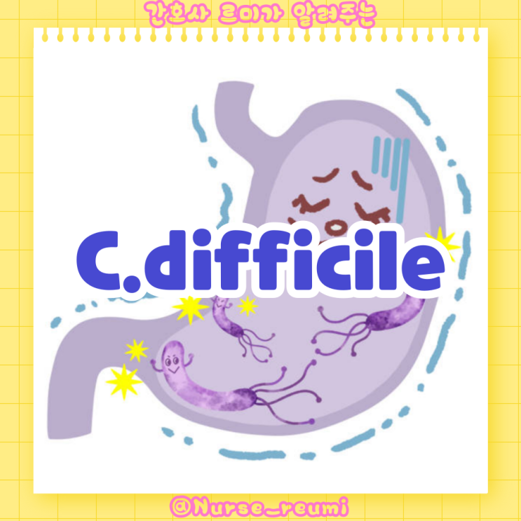 C.diff 감염 (CDI)의 증상, 발생기전, 진단, 격리 해제 기준 : 네이버 블로그
