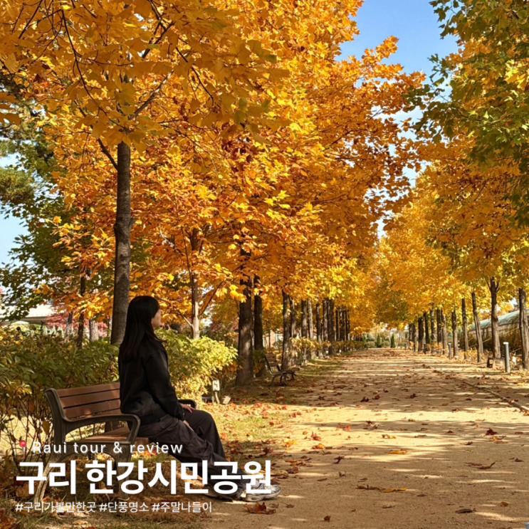 구리 한강시민공원 가을 단풍 가족 주말나들이 추천 가볼만한곳 : 네이버 블로그