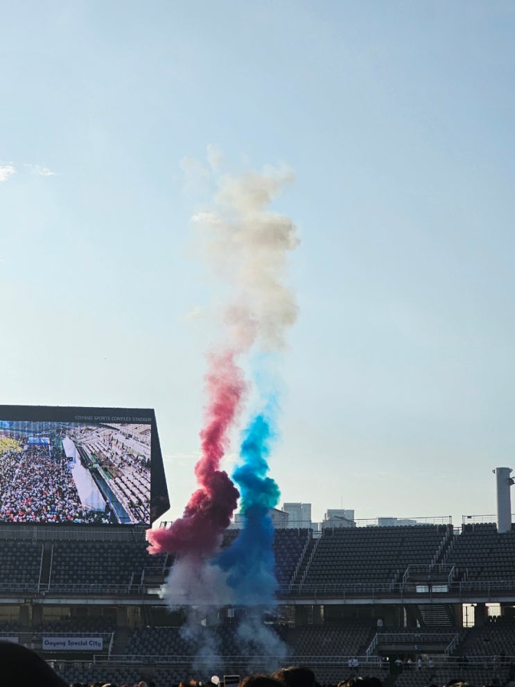 2025 손기정평화마라톤 10km 참여 후기