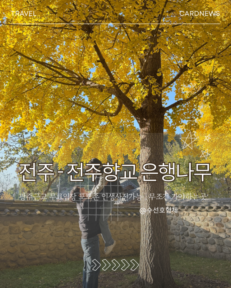 [전북 전주]전주 가을여행 코스 추천: 전주향교 은행나무 보고 왔어....