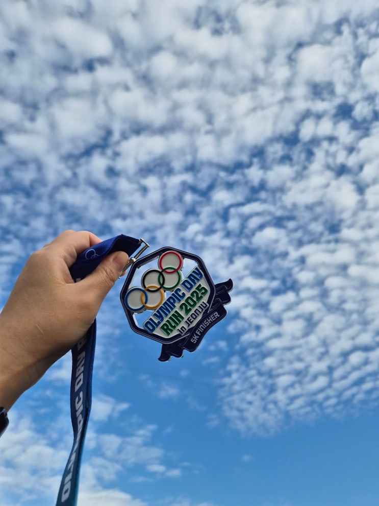 2025.11.16 일기 : 11.15~11.16 토요일은 김장하고 일요일은 마라톤 나가고 (올림픽데이런 2025 in 전주 참가후기)