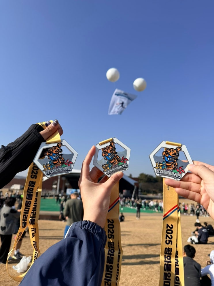 2025.11.16 평화통일 마라톤 9km(라고쓰고 8.15km라고 읽는다) 후기