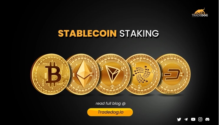 스테이킹 코인 Staking COIN 원리 방법 장단점 가상화폐 고위험 고수익 이자상품 : 네이버 블로그